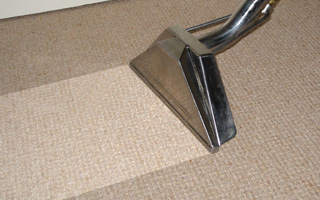 Winter Garden carpet cleaning services